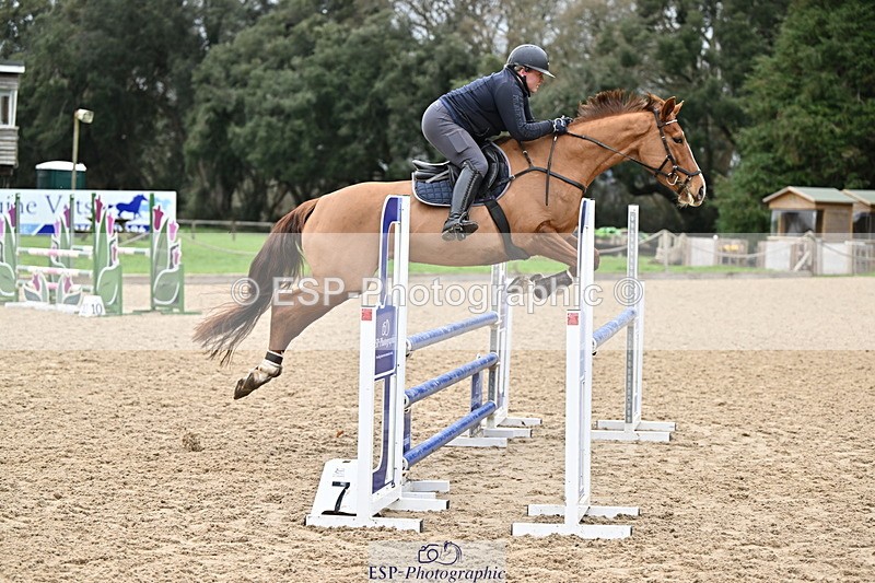 250201A-110857-00341 - Cls 02 Local Horse 100cm