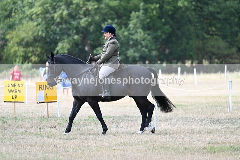 WJ7_5775 - Class 13 Ridden Veterans