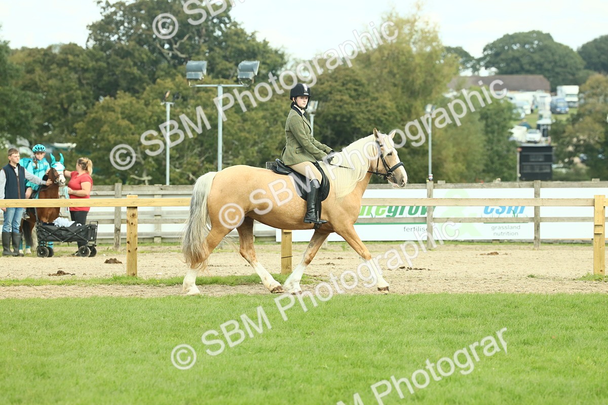 SBM_62637 - S63 - Other Coloured Horse Ridden