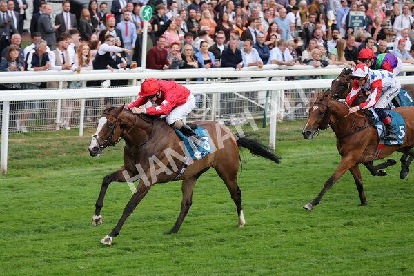 yr22072022r6-14 - Race 6 7.50pm Gallop Racing Stakes