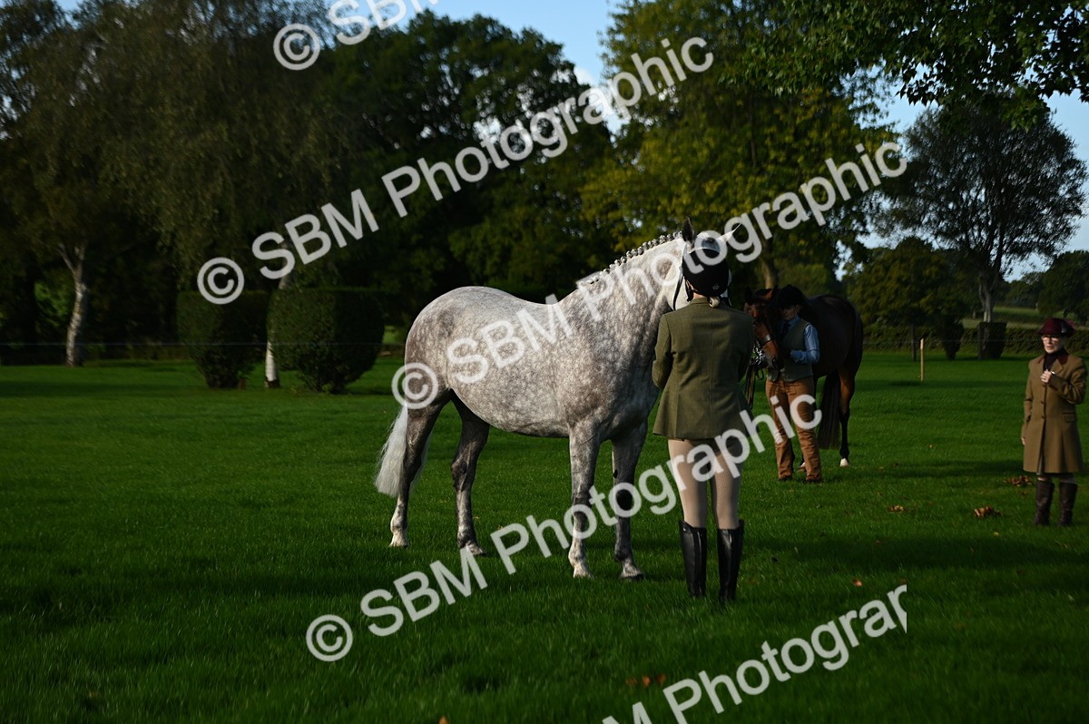 SBM_14731 - S1 - TSR in Hand Horse & Pony Showing