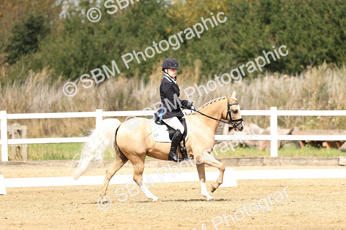 SBM_018203 - Class 16 - Novice 5 - 11.12-12.01