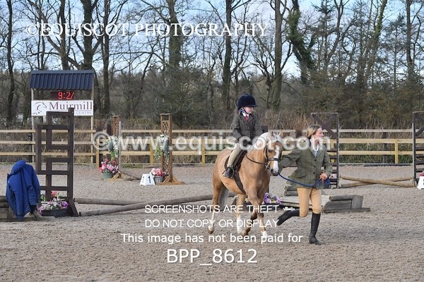 BPP_8612 - TRAINING STAKES