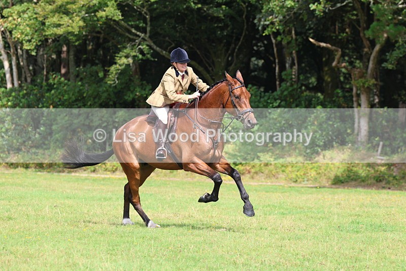 3E7A6136 - Working Hunter Championship