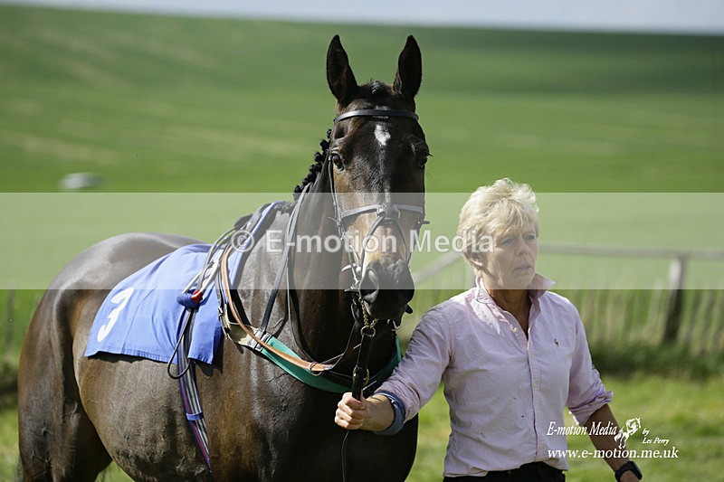 PtP 180422 14 - Old Berkshire PtP Lockinge 18/04/22