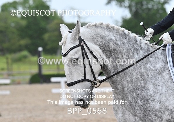 BPP_0568 - 32 Z BURGOYNE