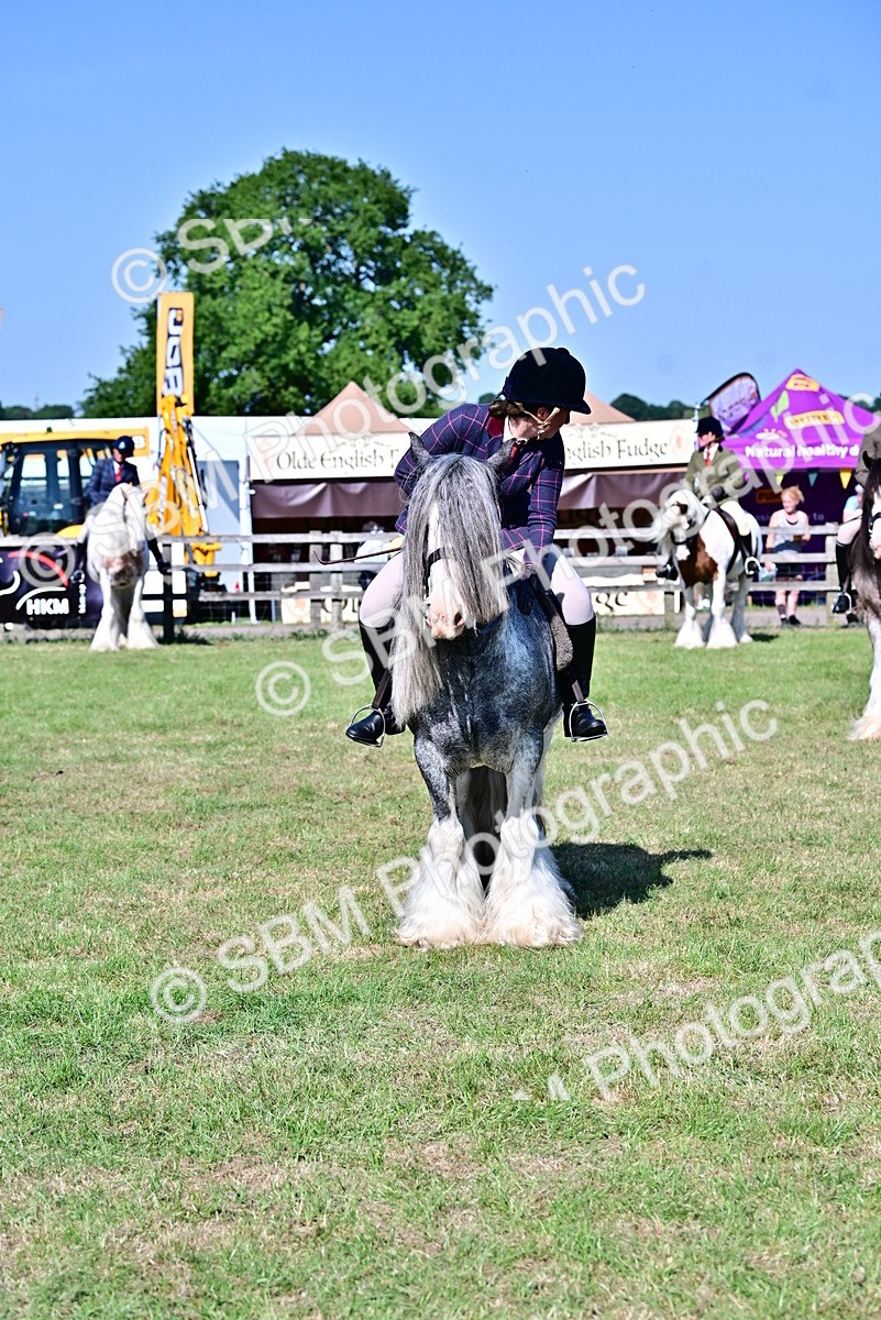 SBM_19450 - Class 101-102 - BSPS LIHS Performance Coloured Horse/Pony