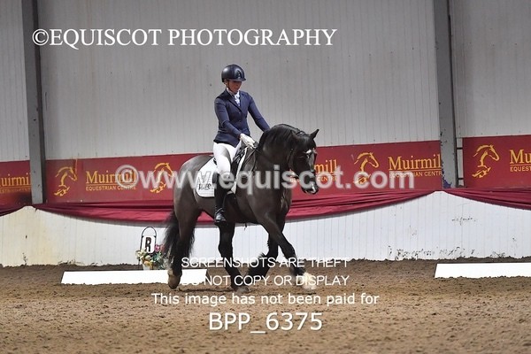 BPP_6375 - 37 Ellis Simister