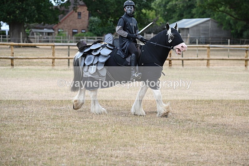 WJ6_8846 - Class 11 Fancy Dress