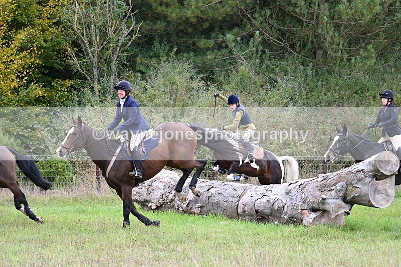 WJ7_3762 - Camera 1 Line 1