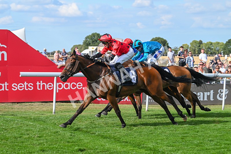 140825-Race 6-Sunny Orange-1835 - Race 6