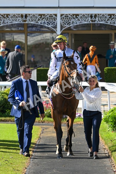 160525-Race 7-Delicacy-7490 - Race 7 5.30pm Yorkshire Equine Practice Handicap