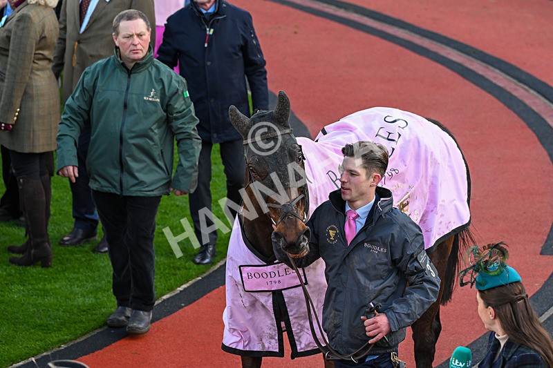 130326-Race 5-Gaelic Warrior-3072 - 13th March