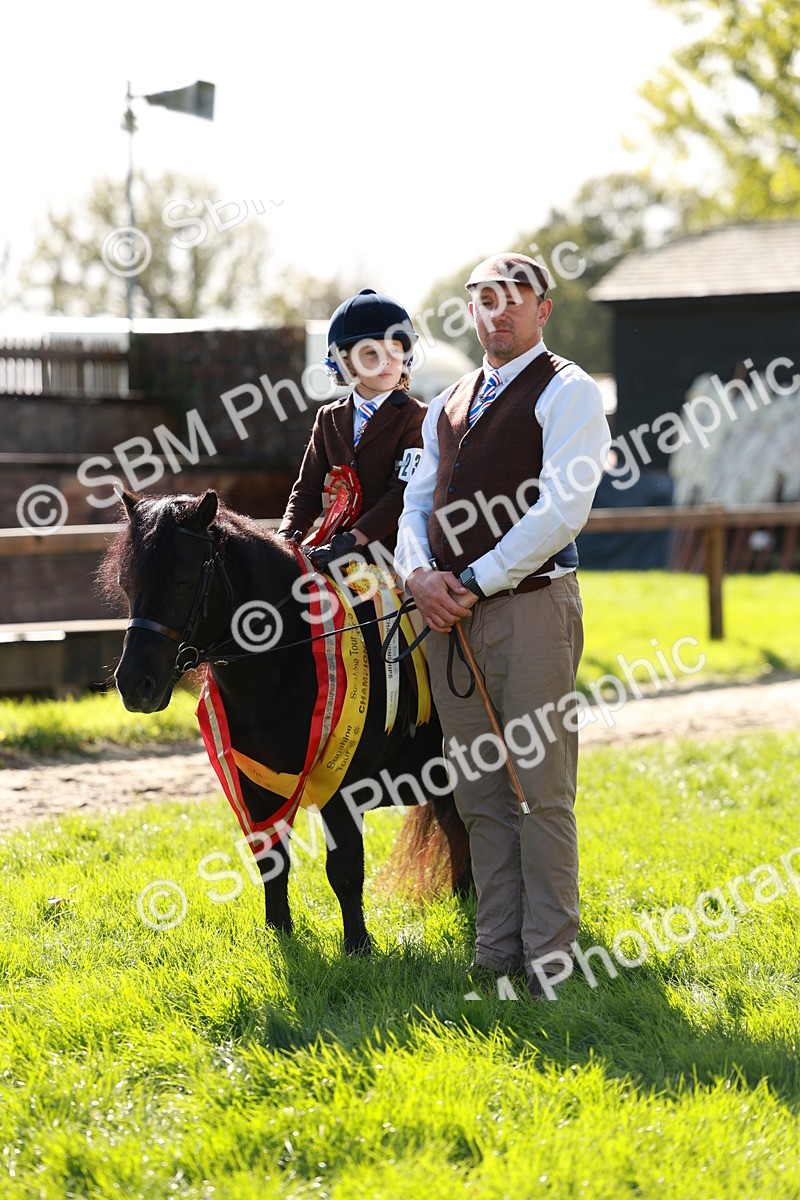 SBM_42171 - S32 - Mountain & Moorland Working Hunter Pony