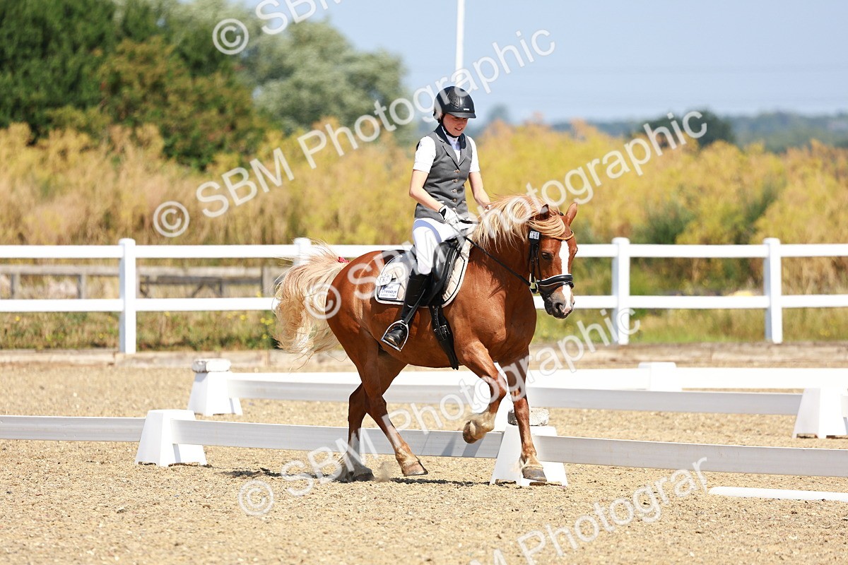 SBM_009799 - Elementary 5 - 9.38-10.58