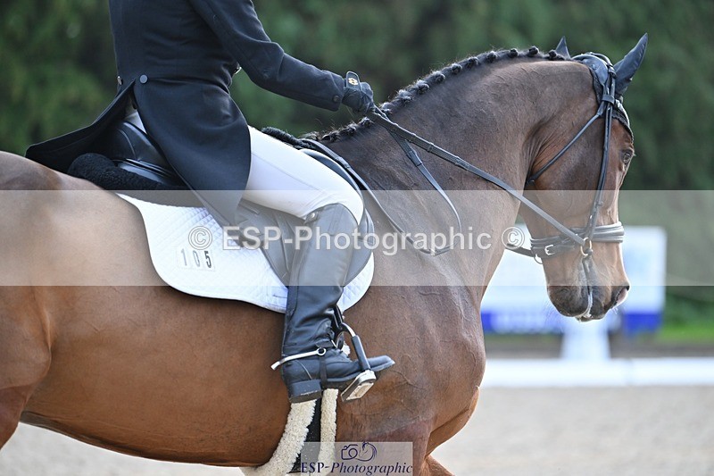 231019-110223-02026 - 105-BRIGHT.KNIGHT.III-Janet.Clarke-DR