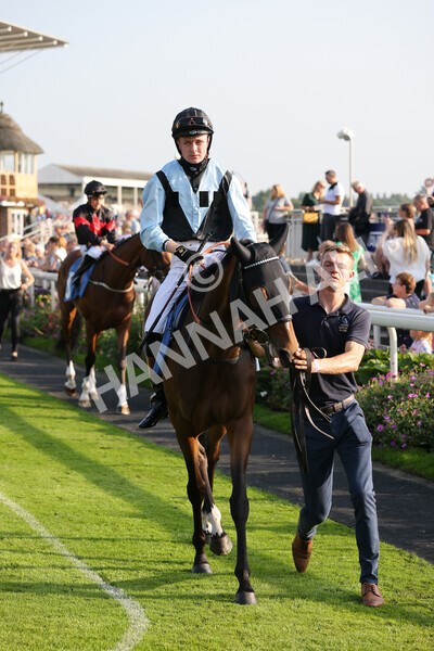 yr05092021r7-4 - Race 7 5.10pm Yorkshire Regiment Stakes