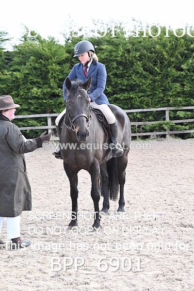 BPP_6901 - RING 1  (RIDDEN HORSES / IN HAND / VETERAN ETC)