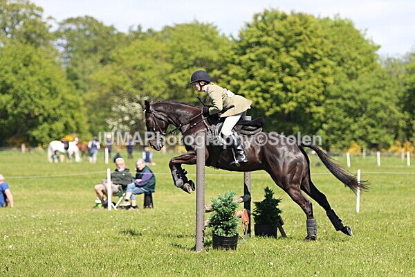 IMG_4128 - Working Hunter