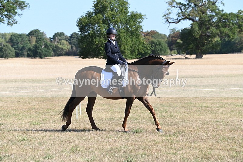 WJ6_7192 - Class 33 Rescue Pony