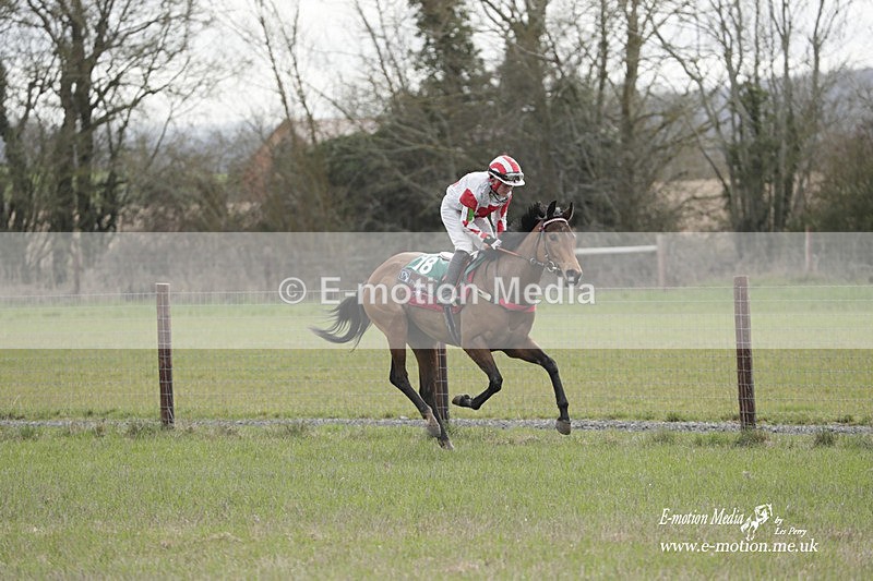 PtP 180323 201 - Shelfield Park Races with Croome & West Warwickshire Hunt  18/03/23