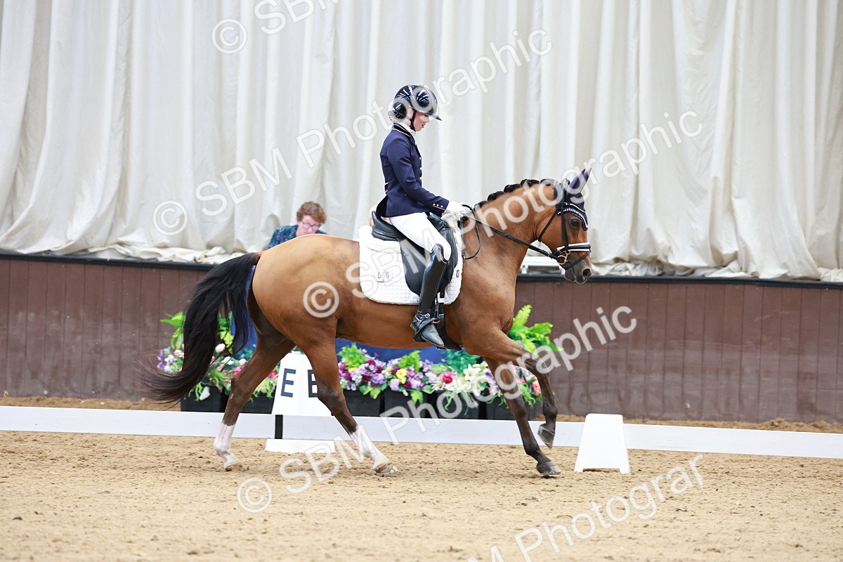 SBM_017276 - Class15 - FEI Pony