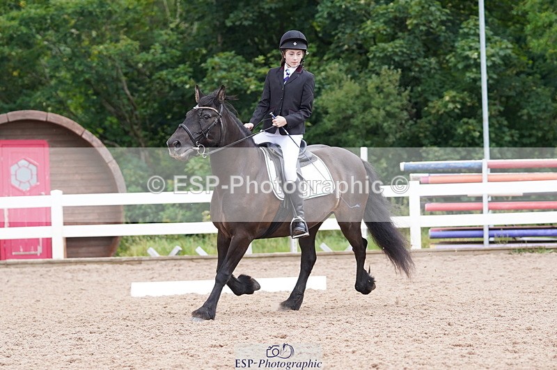 240809A-095140-00343 - Dressage Competition
