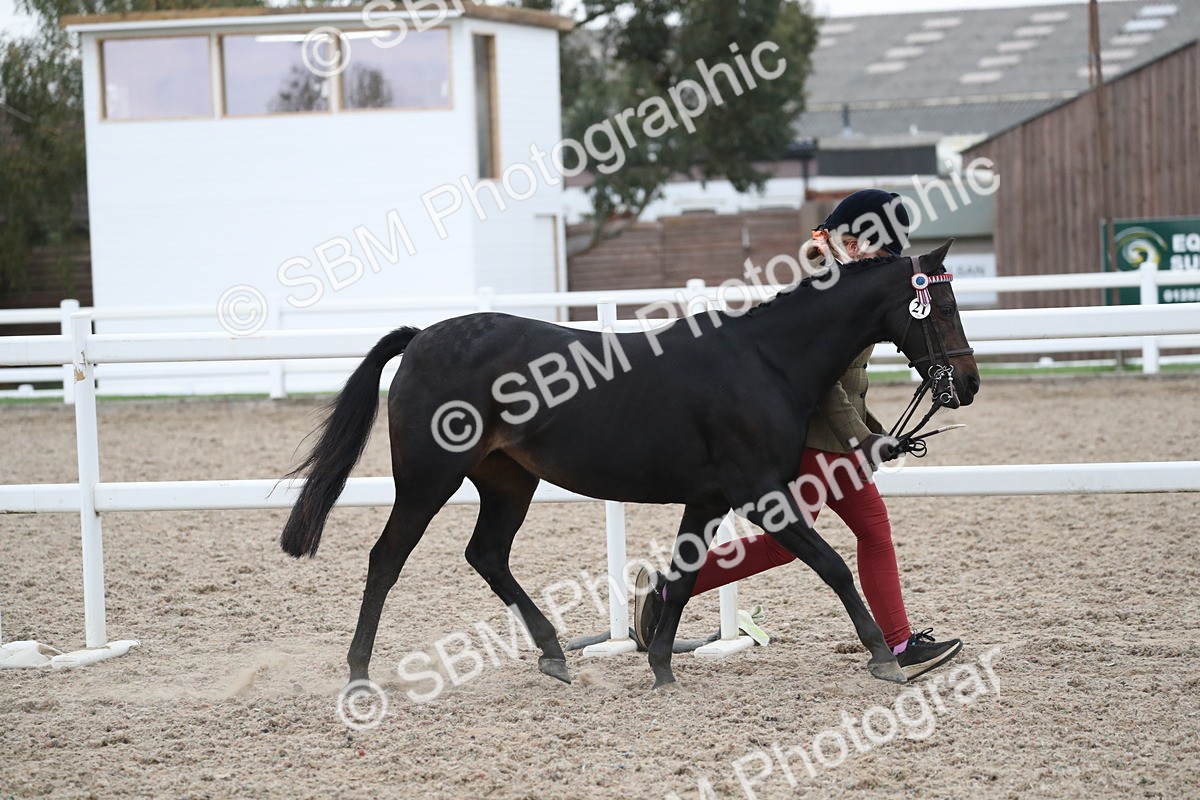 SBM_18338 - Class 318 IH Part bred Horse/Pony