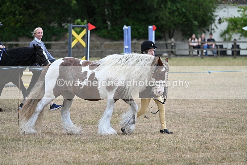 WJ7_8249 - Class 4 Prettiest Mare up to 14.2hh