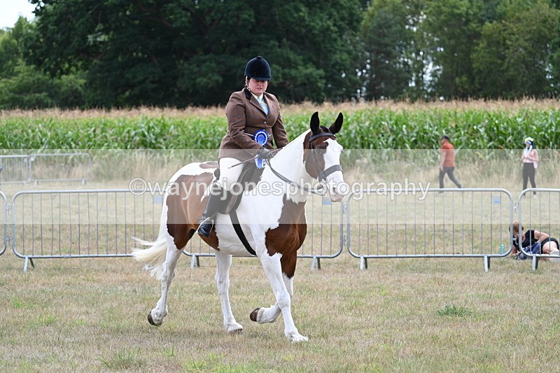 WJ7_5672 - Class 12 Ridden Cob