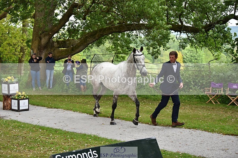 240522-150750-00107 - 369-STARMAN_III-Matthew_Hecking