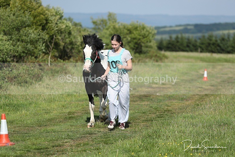 SPXX0062 - Friday vetting