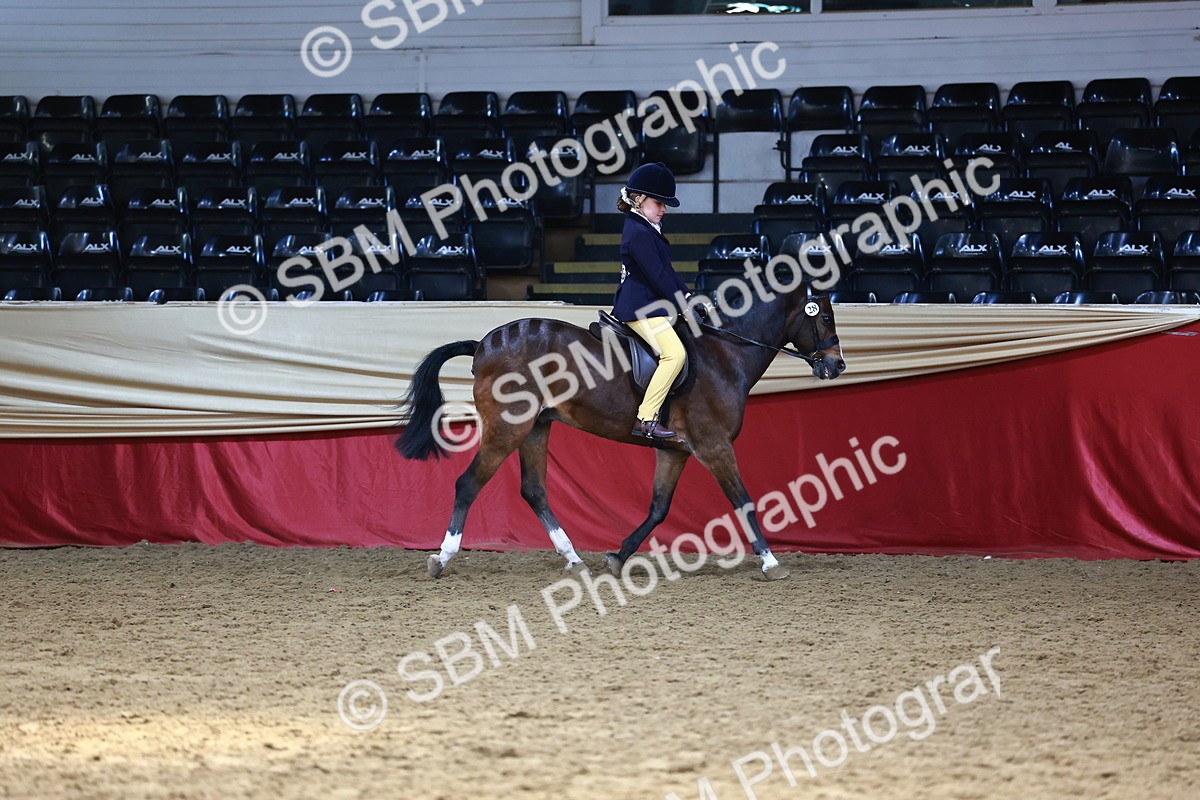 SBM_23089 - Class 904 - Supreme Final - Ridden Diamond