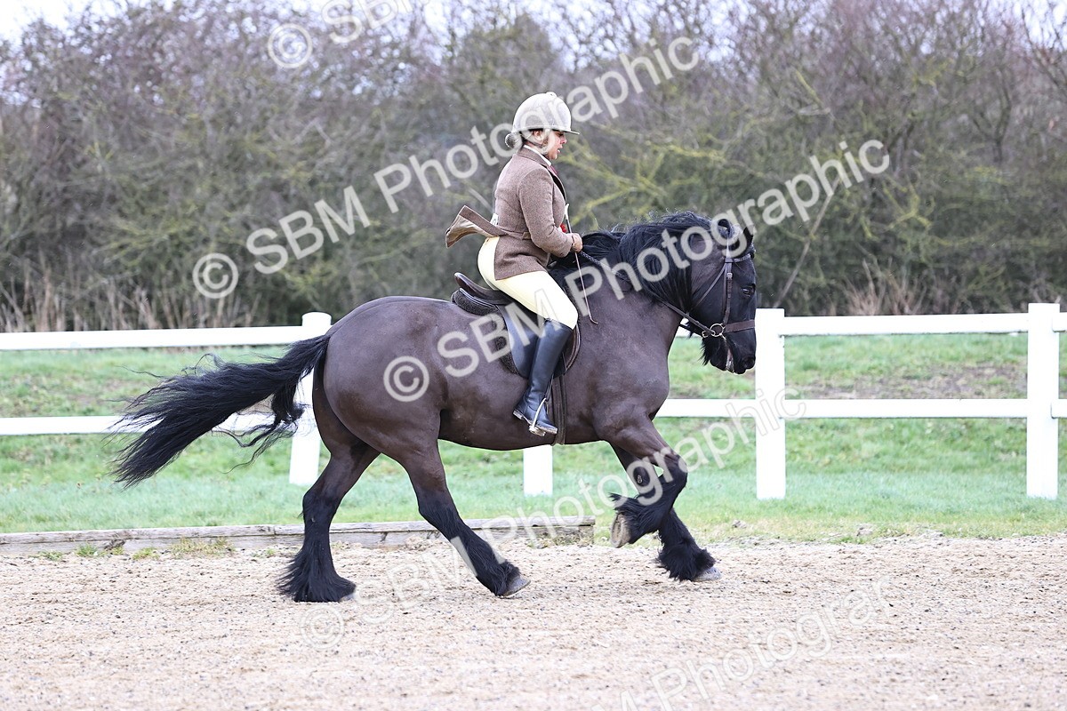 SBM_007043 - Class 29 - 30 - M&M Pure Novice Small-Large Breeds