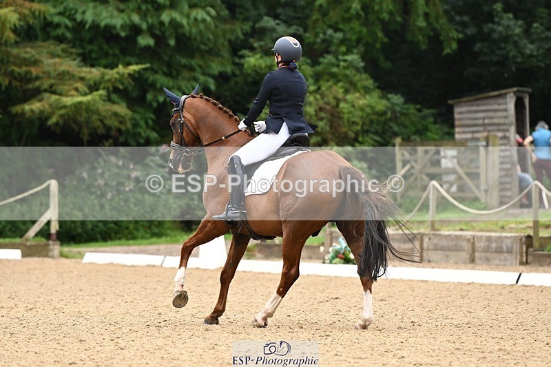 240811-102331-05007 - 110-Helen.Kitto-Da.Vinci.IV