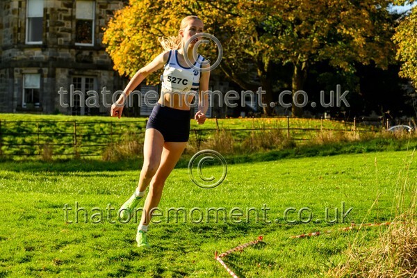 NatRel25-914034 - Young Female Set Two