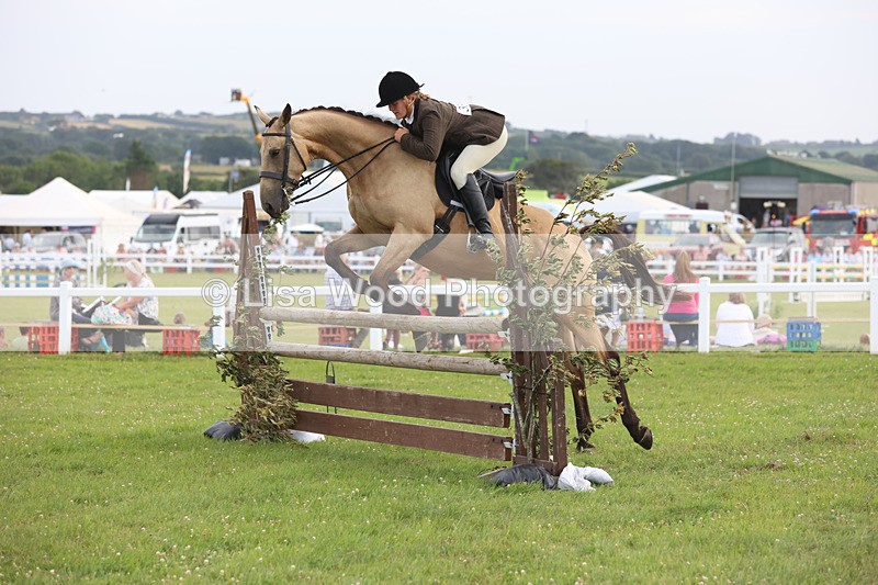 JPP_4374 - Class 26: Working Hunter 1m