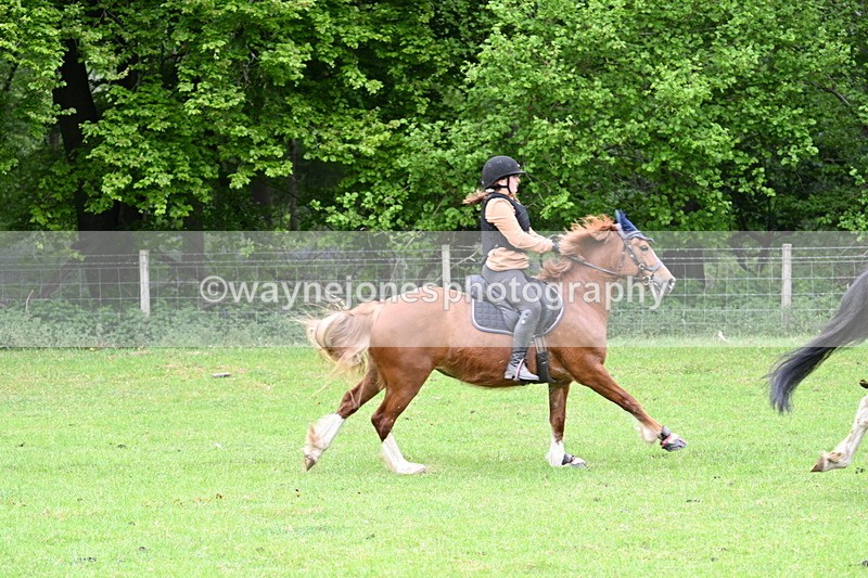 WJ7_2970 - Group 10 A&B Cameras