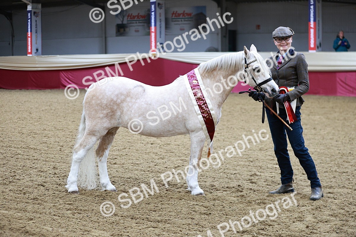 SBM_00351 - Class 1A - Area IH Diamond