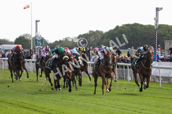 yr12052022r3-22 - Race 3 3.00pm The Paddy Power Hambleton Stakes