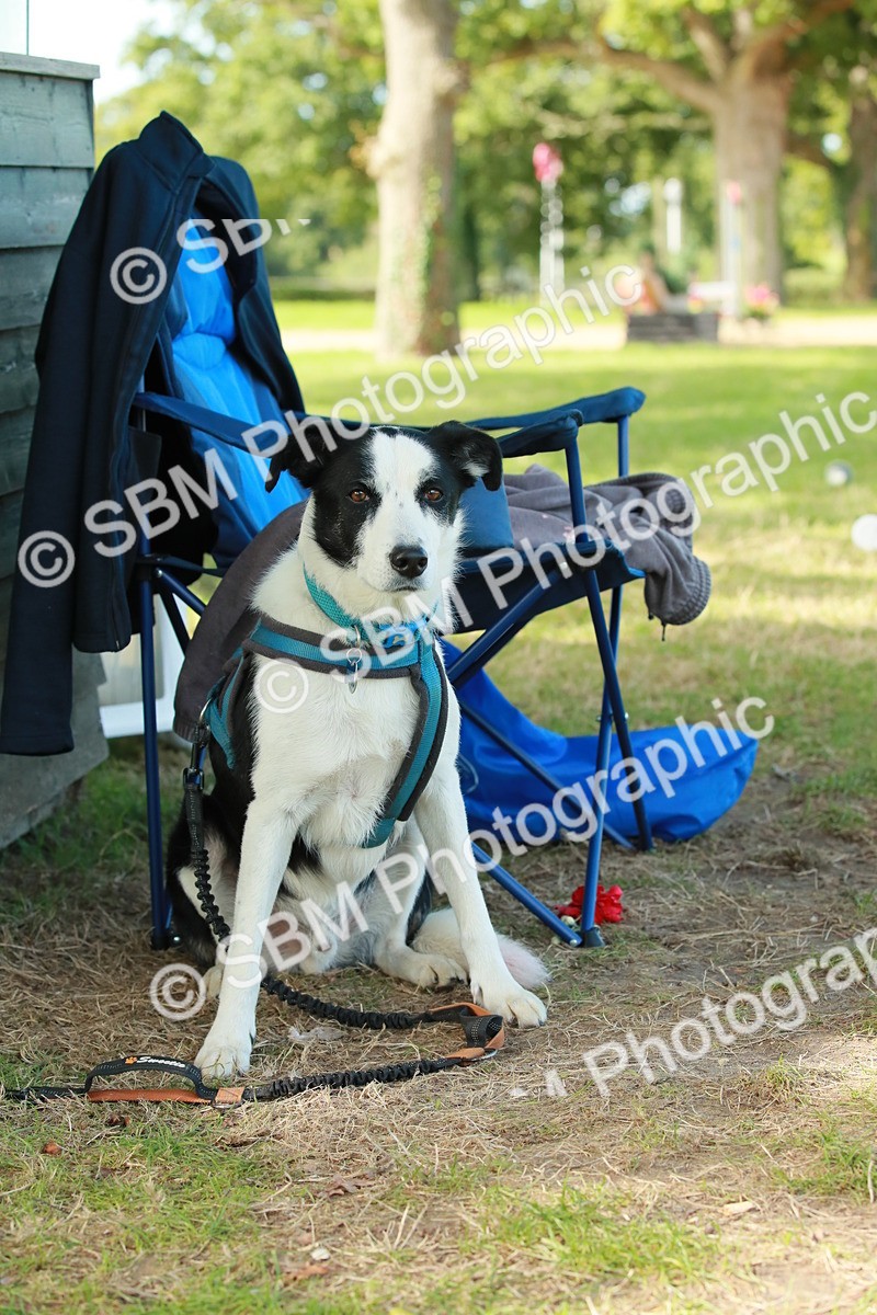 SBM_21854 - E11 - Eventers Challenge 60cm Championship