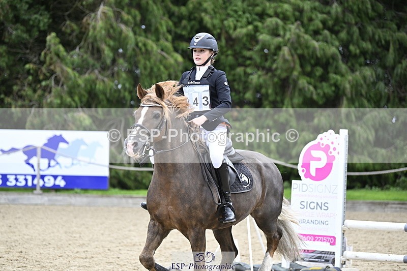 251005A-130242-04018 - Cls 08 Mini 70-75cm