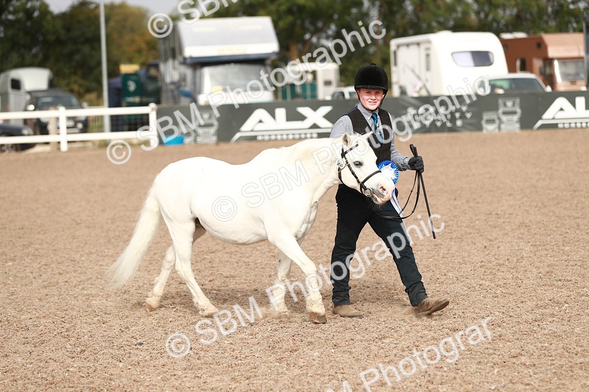SBM_10645 - Class 204 Young Handler, 11-16 years