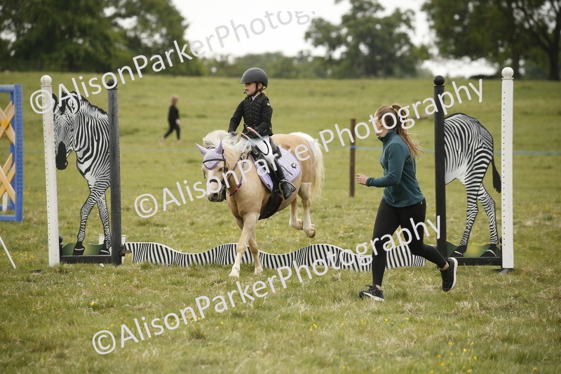 20250517-0925 - Class 2 - 30cm Off Lead Rein