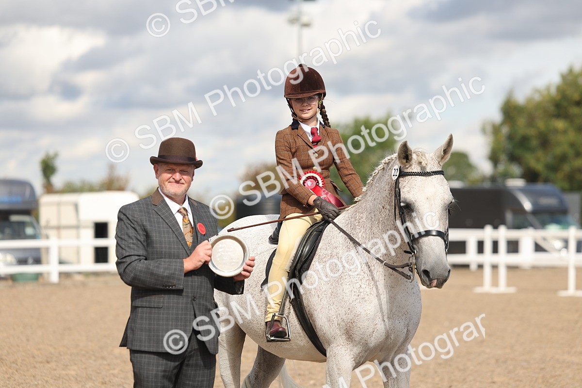 SBM_13200 - Class 306 - Ridden Foreign Breds - Part Bred