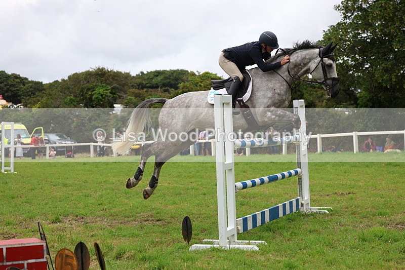 3E7A8551 - Class 8: Senior Foxhunter/1.20m open