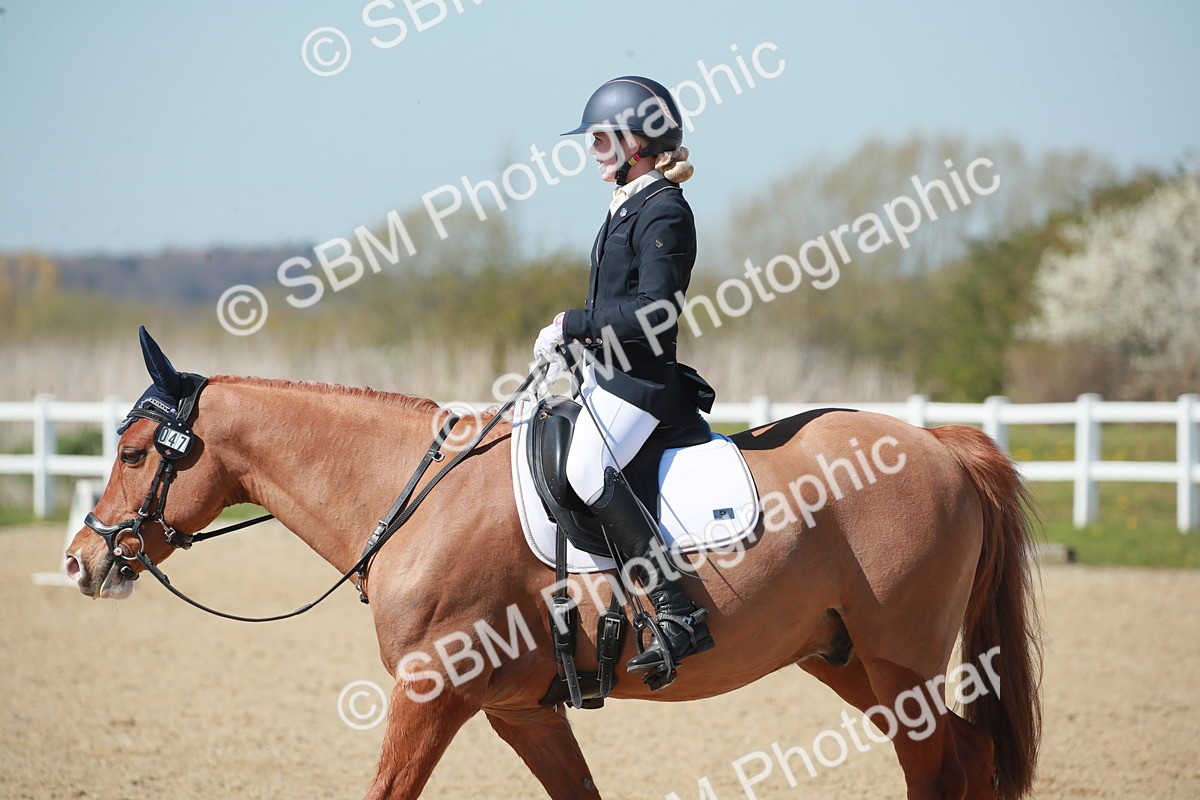 SJ3_1339 - Class 8 - E5