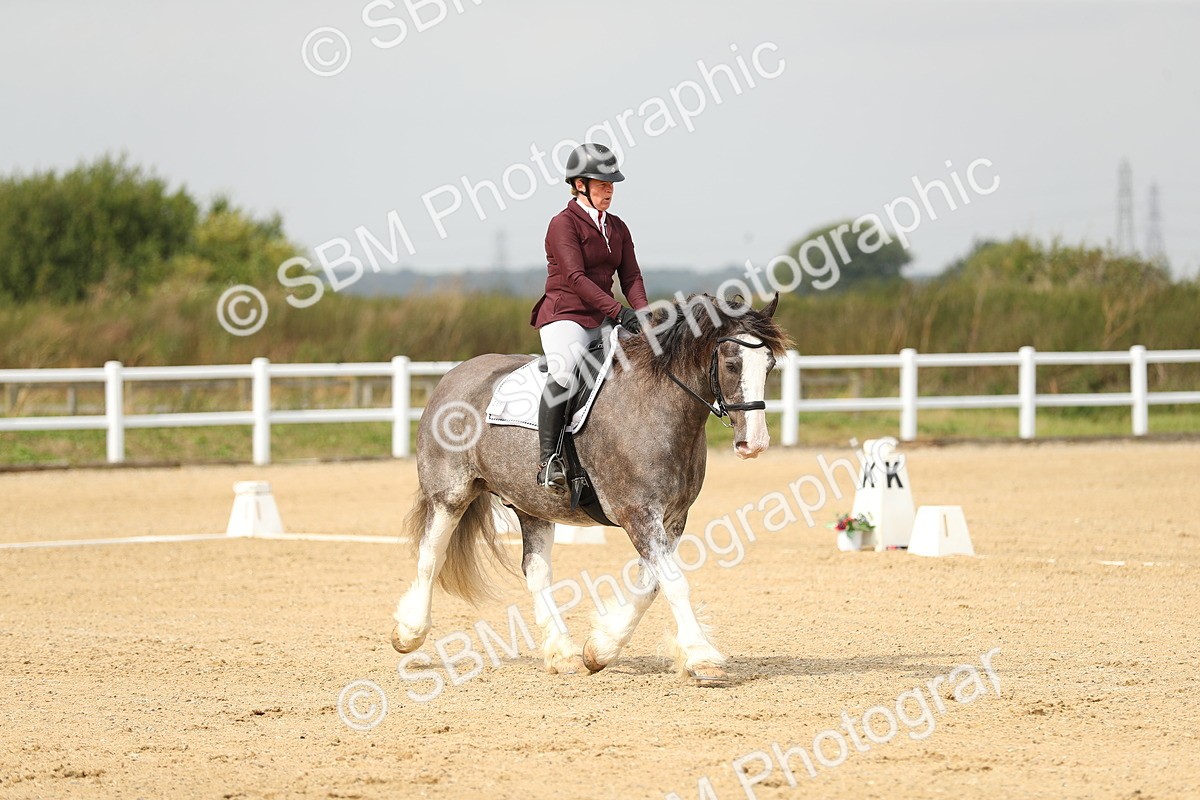 SBM_017319 - Class 13 - Novice 23 - 13.31-14.13