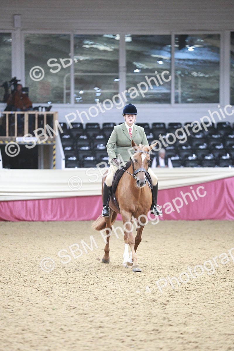 SBM_03393 - Class 6A Area Ridden Pre-Vet