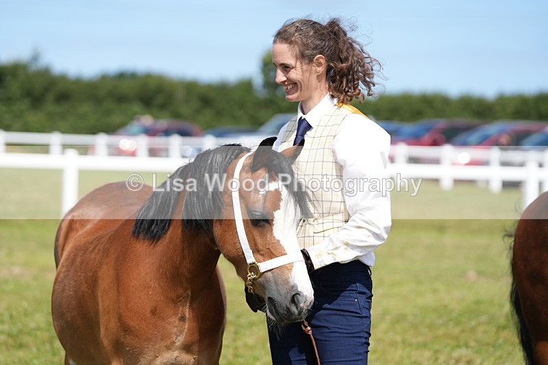 DSC05622 - Class 50: NPS M&M 4 years and over Small Breeds